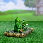 Садовая фигура плавающая "Лягушки на плоту" 18*11*10 см - Фото 6