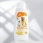 Шампунь «Пижон» для кошек и собак, с ароматом ромашки, 250 мл - Фото 2