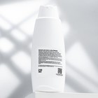 Шампунь «Пижон» для кошек и собак, с ароматом ромашки, 250 мл - Фото 3