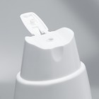 Шампунь «Пижон» для кошек и собак, с ароматом ромашки, 250 мл - Фото 5