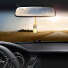 Ароматизатор на зеркало в бутылочке «ЕКХ» лимон - фото 46399991