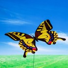 Штекер "Бабочка" 21х22см, длина 42см, микс - Фото 1