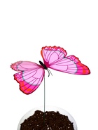 Штекер садовый «Бабочка альпина», 22×21 см, h=42 см, МИКС  (артикул 3924768)  большой выбор товаров оптом и в розницу по низким ценам с доставкой