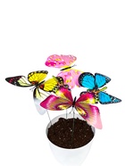 Штекер садовый «Бабочка альпина», 22×21 см, h=42 см, МИКС  (артикул 3924768)  большой выбор товаров оптом и в розницу по низким ценам с доставкой