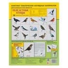 Набор плакатов "Перелетные птицы" - Фото 5