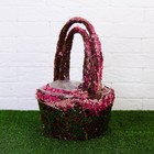 Набор корзин «Восторг», 2 шт, 20×12/32 см, 16×11/27 см - фото 23888404