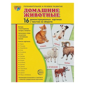 Набор демонстрационных плакатов "Домашние животные" 173х220 мм 4158759