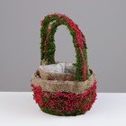 Набор корзин «Восторг», 2 шт, 20×12/32 см, 16×11/27 см - Фото 2