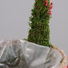 Набор корзин «Восторг», 2 шт, 20×12/32 см, 16×11/27 см - Фото 4