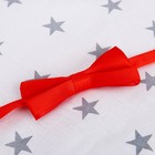 Нагрудник детский с повязкой «Любимый Сыночек», от 4 мес. 3876340