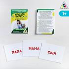 Обучающие карточки по методике Глена Домана «Учимся читать. Части тела и члены семьи», 30 карт, А6 - Фото 1
