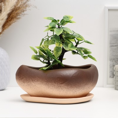 Горшок для кактусов и суккулентов «Бонсай», 600 мл, 17×14×8 см, керамический, с поддоном, коричневый