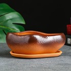 Горшок для кактусов и суккулентов «Бонсай», 600 мл, 17×14×8 см, керамический, с поддоном, коричневый - Фото 4