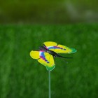 Штекер "Бабочка" 3х4см, длина 30см, микс - фото 298138223