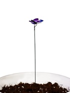 Штекер садовый «Бабочка шарлин», 4×3 см, h=30 см, МИКС - Фото 6