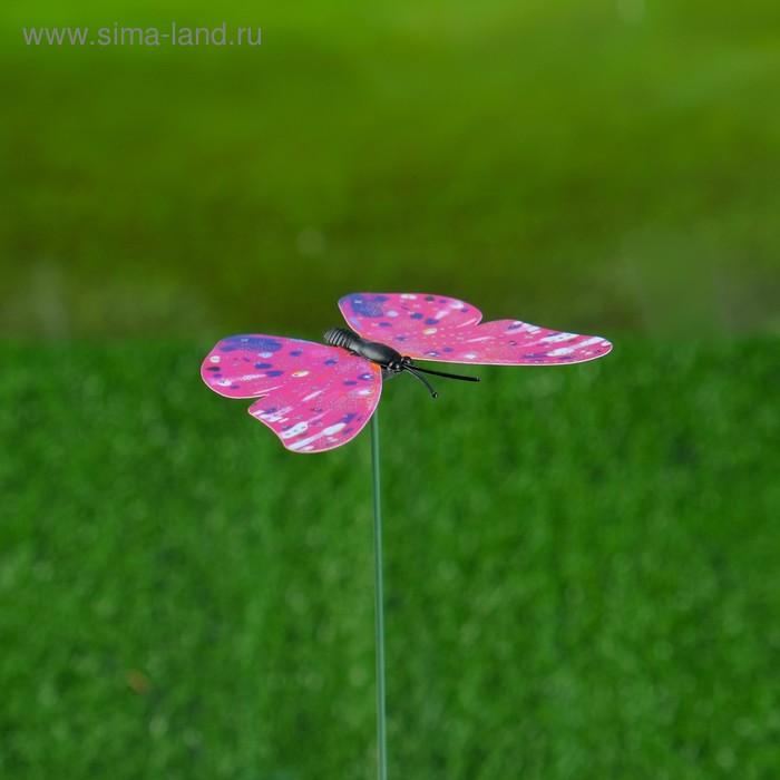 Штекер "Бабочка" 5х7см, длина 25-30см, микс - Фото 1