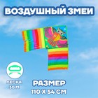 Воздушный змей «Совушка», с леской 3949845 - фото 12073746