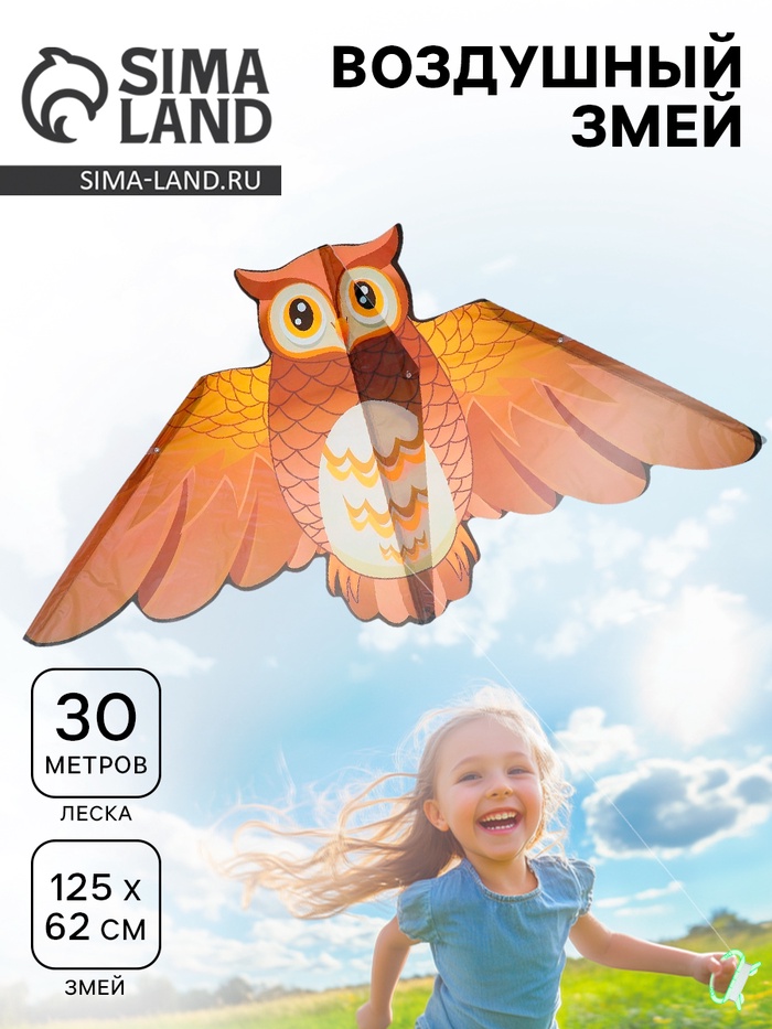 Воздушный змей «Сова», с леской - Фото 1