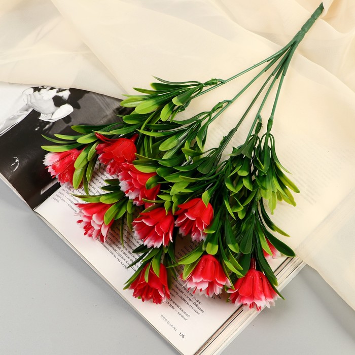 Букет «Арктотис», h=25 см, МИКС - Фото 1