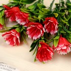 Букет «Арктотис», h=25 см, МИКС (комплект 2 шт) - фото 38551289