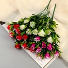 Букет «Арктотис», h=25 см, МИКС (комплект 2 шт) - фото 38551290