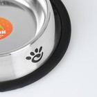 Миска с нескользящим основанием с принтом, 235 мл - Фото 4