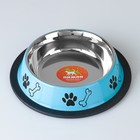 Миска с нескользящим основанием цветная с принтом, 235 мл, голубая - Фото 2