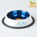 Миска декоративная цветная, 230 мл, с нескользящим основанием, металл, белая, синяя - Фото 1