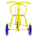 Велосипед трёхколёсный «Тип-Топ 313», колёса 10" и 8", цвет микс - Фото 3