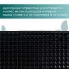 Кассета для выращивания рассады, на 200 ячеек, по 7 мл, из пластика, чёрная, 55 × 28 × 4 см, Greengo - Фото 6