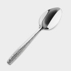 Ложки столовые из нержавеющей стали «Паритто», длина 19 см, 12 шт., цвет серебряный - Фото 2
