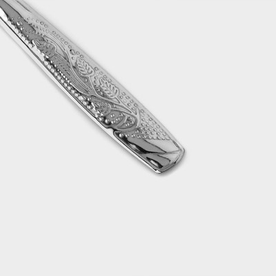 Ложки столовые из нержавеющей стали «Паритто», длина 19 см, 12 шт., цвет серебряный
