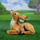 Садовая фигура "Лежащий оленёнок" из полистоуна Хорошие сувениры, 24 см, средняя, коричневая - Фото 7