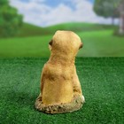 Садовая фигура "Сурикаты выглядывают из норки" 15х12х20см - Фото 3