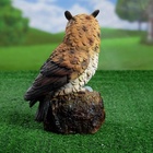 Садовая фигура из гипса «Семейство сов», 26×13×17 см - Фото 6