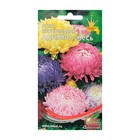 Семена цветов Астра пионовидная «Адажио», «Дом семян», смесь, однолетник, 90 шт. - Фото 2