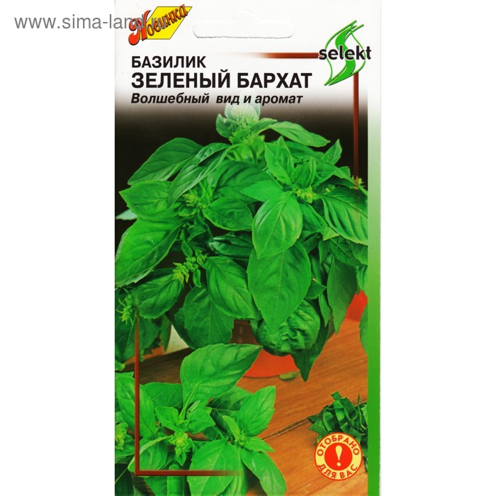 Семена Базилик "Зеленый Бархат" select,  120 шт - Фото 1