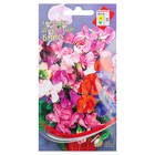 Семена цветов Горошек душистый "Бийо" Дом семян,  10 шт 4175936