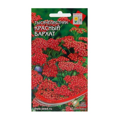 Семена цветов Тысячелистник «Ахиллея» 210 шт., «Дом семян»