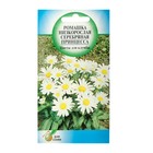 Семена цветов Ромашка "Серебряная Принцесса", 80 шт. - Фото 3