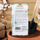 Семена цветов Ромашка "Серебряная Принцесса", 80 шт. - Фото 6