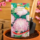 Семена цветов Астра пионовидная "Хрустальная Башня" Дом семян, О, 80 шт - Фото 3