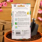 Семена цветов Астра пионовидная "Хрустальная Башня" Дом семян, О, 80 шт - Фото 4