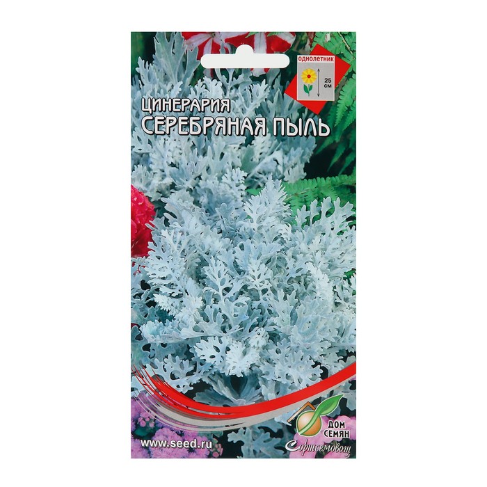 Семена цветов Цинерария "Серебряная пыль" Дом семян, О, 100 шт - Фото 1