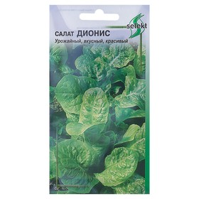 Семена Салат 