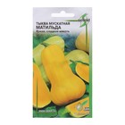 Семена Тыква мускатная "Матильда" select, 10 шт - Фото 1