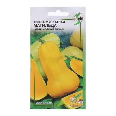 Семена Тыква мускатная "Матильда" select, 10 шт