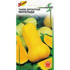 Семена Тыква мускатная "Матильда" select, 10 шт - Фото 3