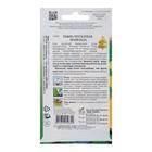 Семена Тыква мускатная "Матильда" select, 10 шт - Фото 4