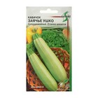 Семена Кабачок "Заячье ушко", 10 шт. - Фото 4